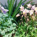 창조주의 이미지