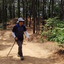 고양누리길 9코스 고봉누리길 이미지