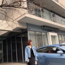 데일리 서플리