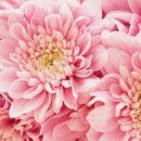 스텔라여성의원 이미지