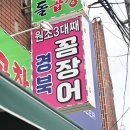 산꼼장어 이미지