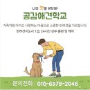 공감애견학교 이미지