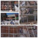 철광산 공연장 이미지