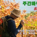 주간바우길 593호 이미지