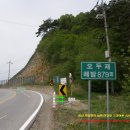 10일 정선 태백 다랫봉,갈미봉 (1168m)(산나물산행) 이미지