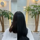자르딘헤어 대구붙임머리 이미지