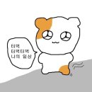 2022년 1월 일상