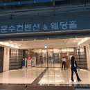 문수터널(울산)-외부 | 자연광이 예뻤던 울산 문수컨벤션 블루밍하우스 홀 투어 다녀온 솔직 후기!