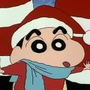 라비돌 이미지