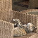 블루썬데이 이미지