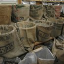 강릉커피박물관 이미지