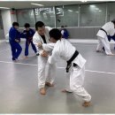 엘리트 유도 멀티짐 이미지