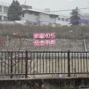 자갈치브라더스동대문용두점