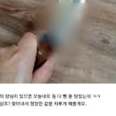 &#34;르노 &#39;집게손&#39; 직원, 정당한 값 치를 것&#34;…살인 예고글 등장(1일 올라왔던글 현재 삭제) 이미지