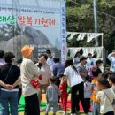 영도구청(본관) 네이버블로그