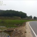 세도면화수리보건진료소 네이버블로그