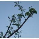 (주)푸르네 이미지