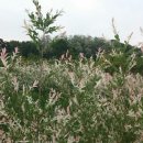 성공회대학교 이미지