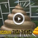 청년테마공원 화장실 이미지