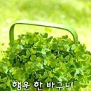 훼밍웨이