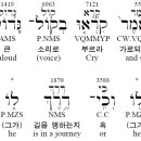 아쎄르라로파