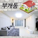 다이소부개 이미지