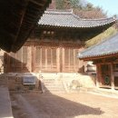 영천 은해사 백흥암 극락전 Daum카페
