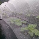 금주농장 이미지