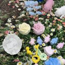 복고풍로맨스의 쉽게 그리는 꽃그림 | [귀여움모음] 마포 공방대관 비용 대비 만족도, 대관장소 찾는다면