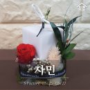 마켓101 이미지