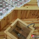 신신중국전통발맛사지 이미지