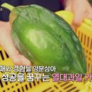 완도농장 이미지