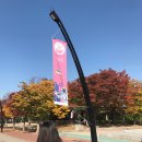 그랜드민트페스티벌 GMF 2018 후기(준비물+팁) 모트최고