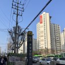 [서울 강서구] 강서구 사주 잘 보는 곳 박사주 작명원 솔직 후기ㅣ 사주 / 궁합 / 작명 / 출산택일 전문