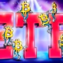 초보자 가이드 ﻿비트코인 ETF: 상장지수펀드(ETF)에 대한 비트코인 선물 및 비트코인 현물 ETF 이미지