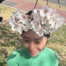 갑천로 이미지