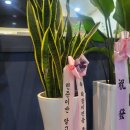두뇌로수학