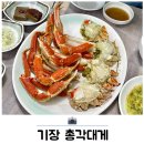 부산 기장시장 대게맛집 가볼만한곳 기장총각대게 가격 후기