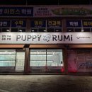 퍼피루미 이미지