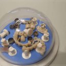 강북편한치과의원 이미지