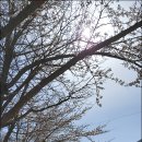 남대천제방길 이미지