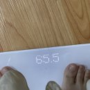여름다이어트 모드니에 두번째 후기