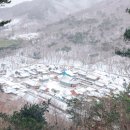 큰궐민박 네이버블로그