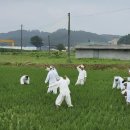 탄금공원 이미지