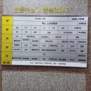 라돈코인노래연습장 이미지