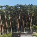 전망대식당앞