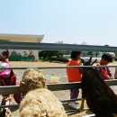 금모래어린이집 이미지