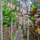 엔티크 독 | 우붓 가성비 에어비앤비 추천, 수영장 넓고 궁궐 같은 곳 숙소 추천