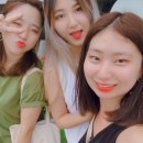 커피캣 이미지