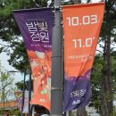 어쿠스틱 밴드(야간) | 경기도 수원 일월수목원 야간개장 밤빛정원 안내와 방문 후기